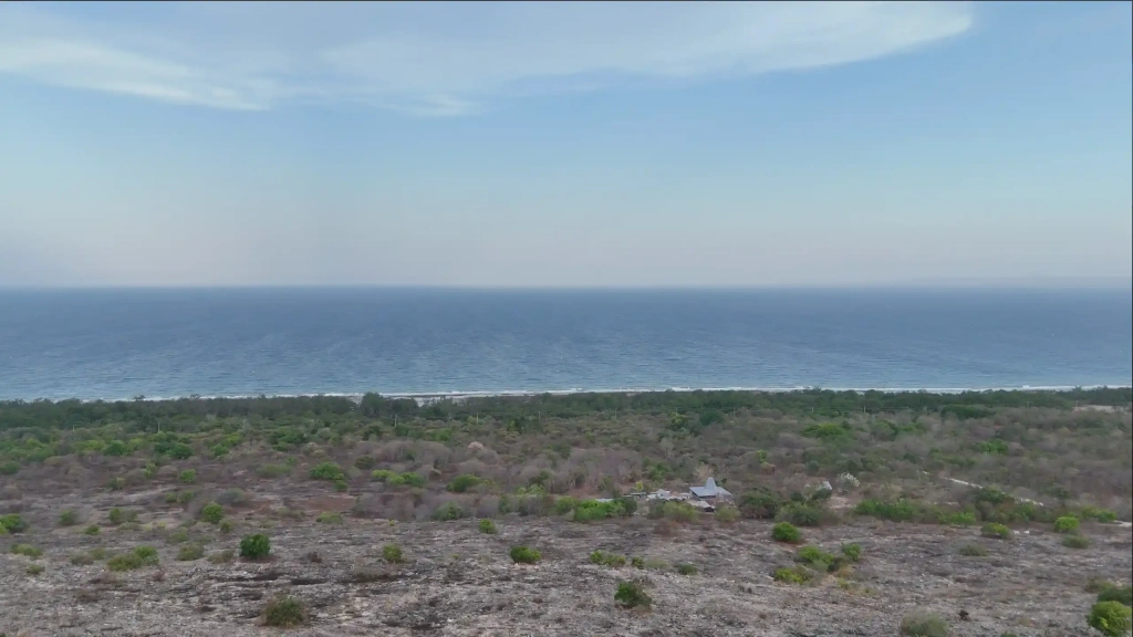 Dwiki Nusa Tattoo | Best Tattoo in Bali