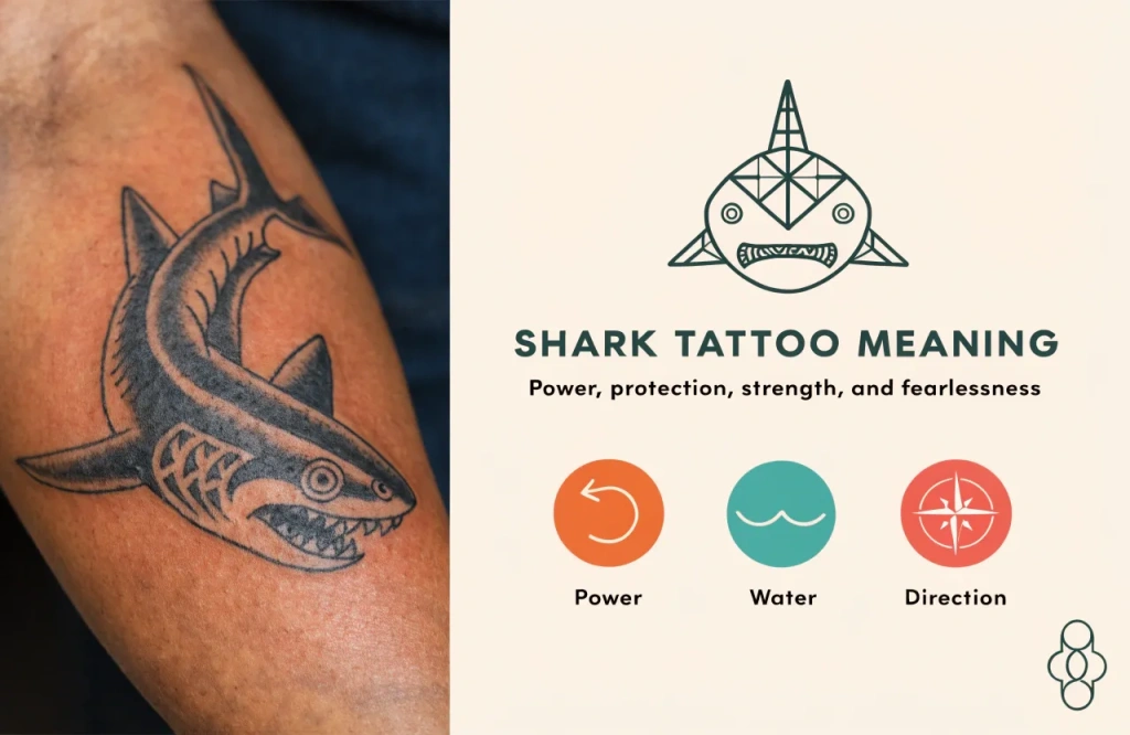 shark tattoo meaning | Nusa Penida Tattoo